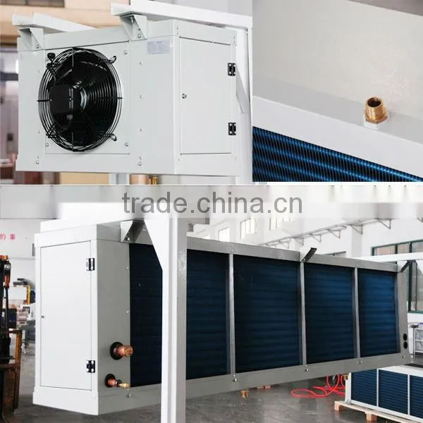 DL Suspended Cold Storage Refrigeration Evaporator