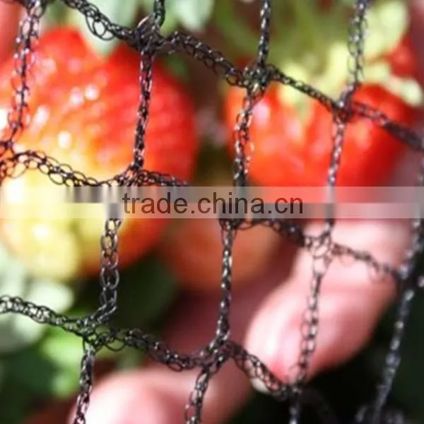 anti bird netting for catching birds&plastic bird net&bird netting wire mesh