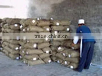 Supply fresh chestnut