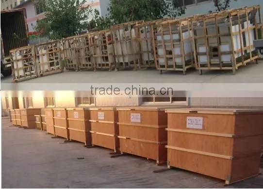 Roasted and salted peanut production line/ salted peanut processing line/ roasted and salted peanut equipment