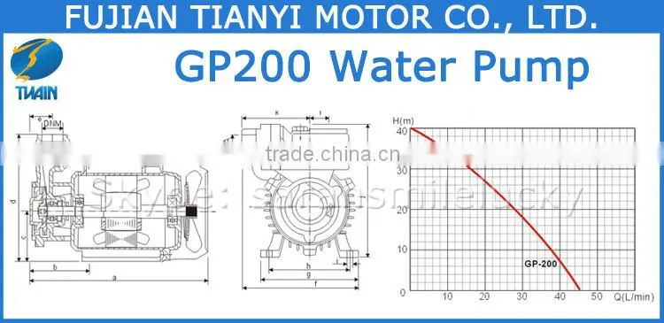 GP200 0.32HP Wate Pump