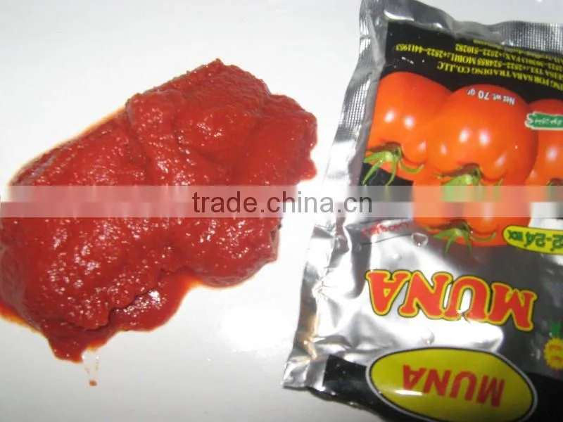 fresh canned tomato paste