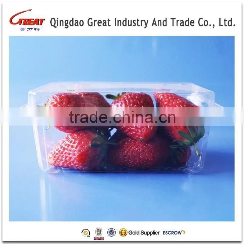 Plastic Transparent Box 1pound Strawberry Packaging Container
