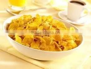 Healthy breakfast cereals/corn flakes production line