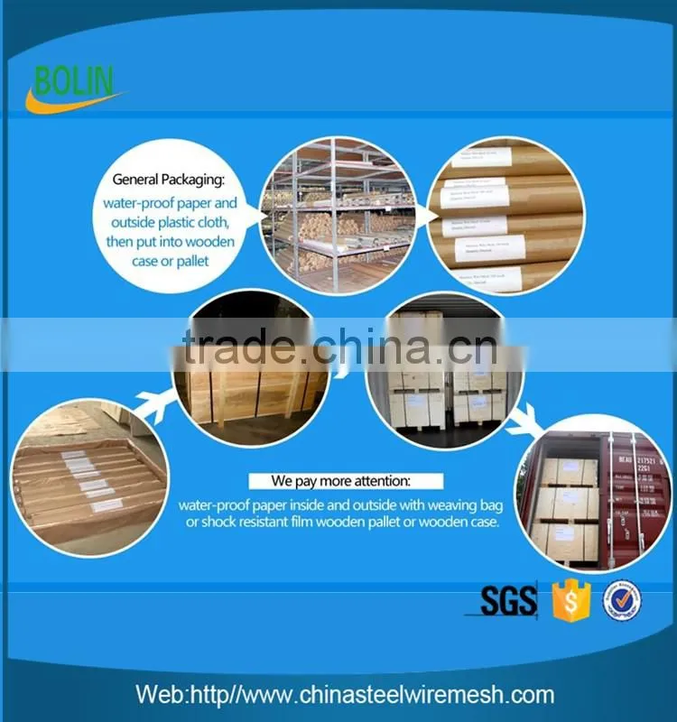 GR1 GR2 GR3 Gr4 Gr5 Titanium woven wire mesh Ti mesh screen