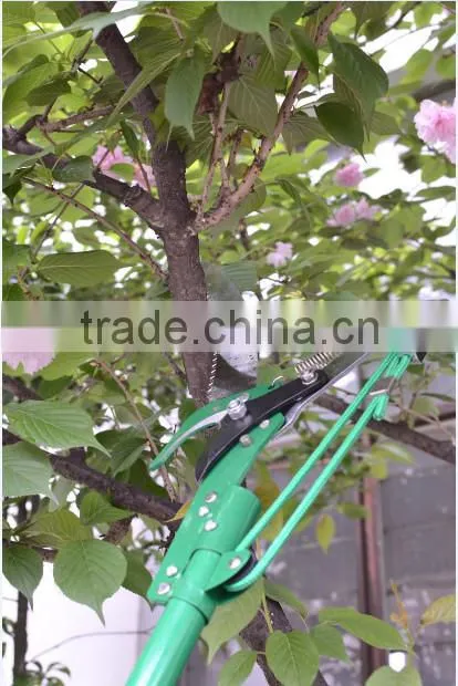 pole tree saw garden tools tree pruner