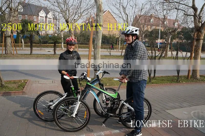 Elektro-Fahrrad E-Bike Pedelec electric bicycle with SR SUNTOUR front fork mountain e bike