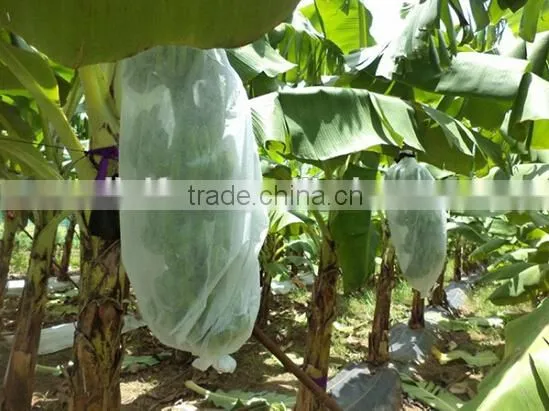 pp spunbond nonwoven banana protection cover/ nonwoven plant protective bags/ pp plant protect fabric