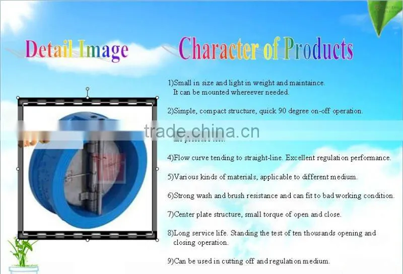 Dual Plate Check Valve with Stainless Steel Disc