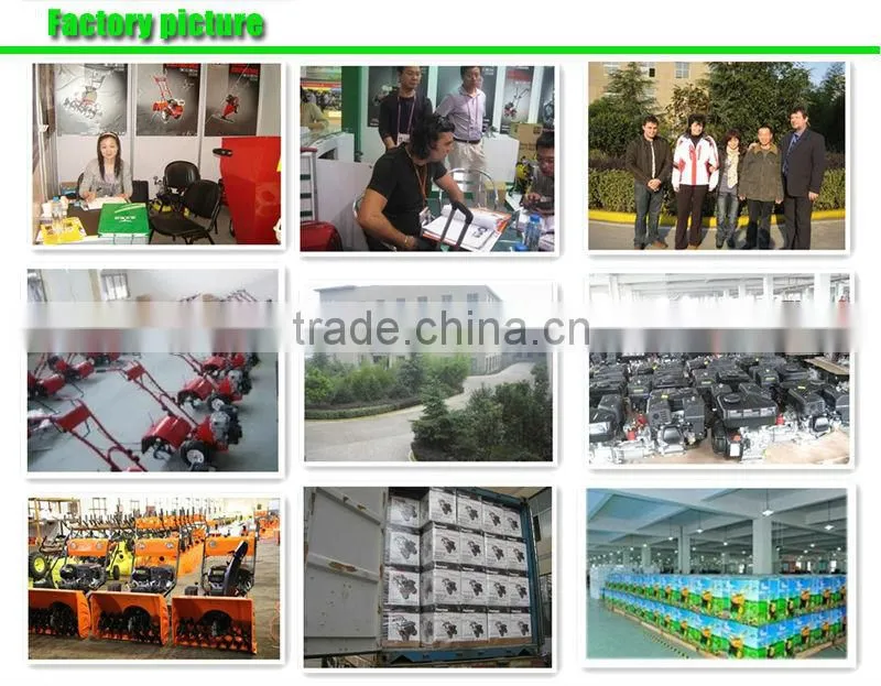 4HP Gasoline Power Chinese Cheap Hand Cultivator Hand Tiller For Sale