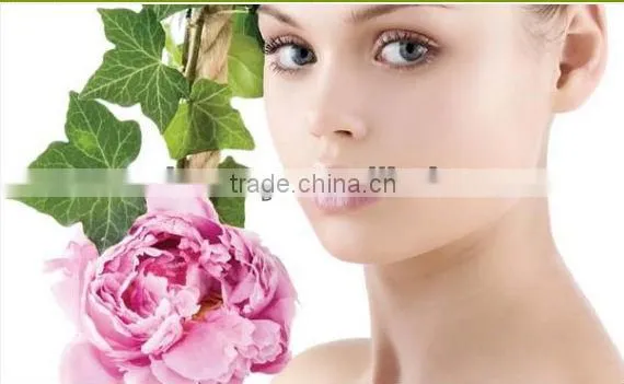 Good quality medical stainless material needles derma roller dermaroller