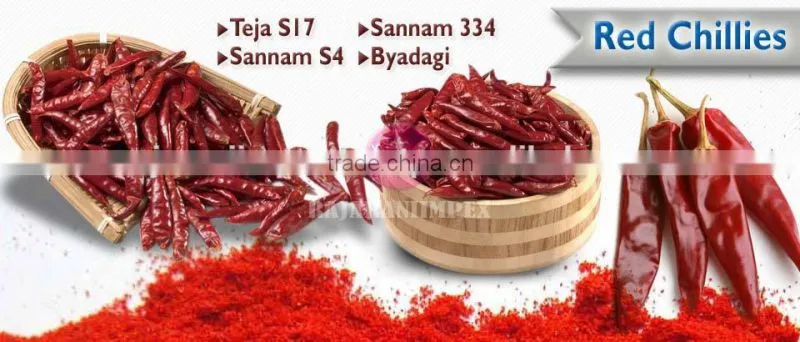 Sannam S4 Indian Dry Red Chilli From India