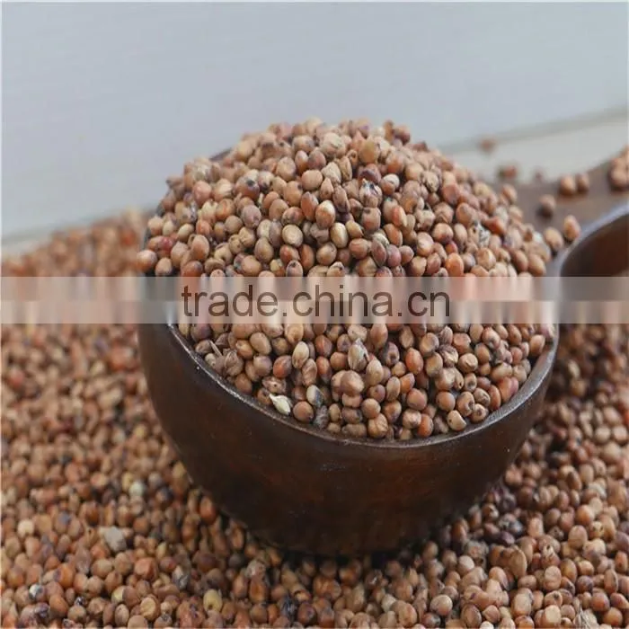 Natural Glutinous Red Sorghum price