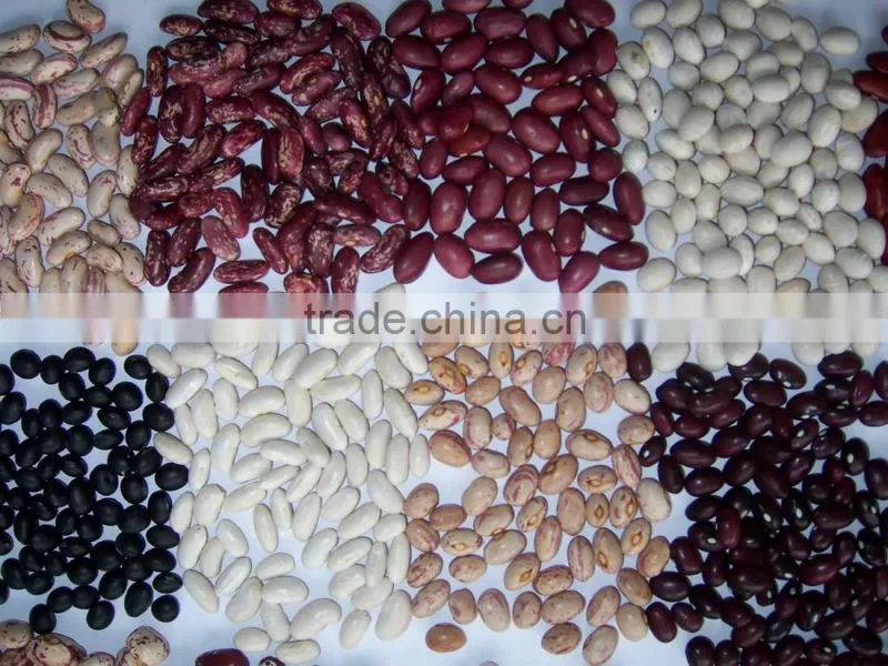 2015 white kidney beans for sale with cheaper price from china
