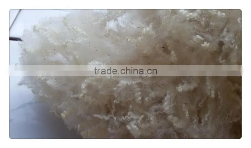 Australia merino clipped raw wool