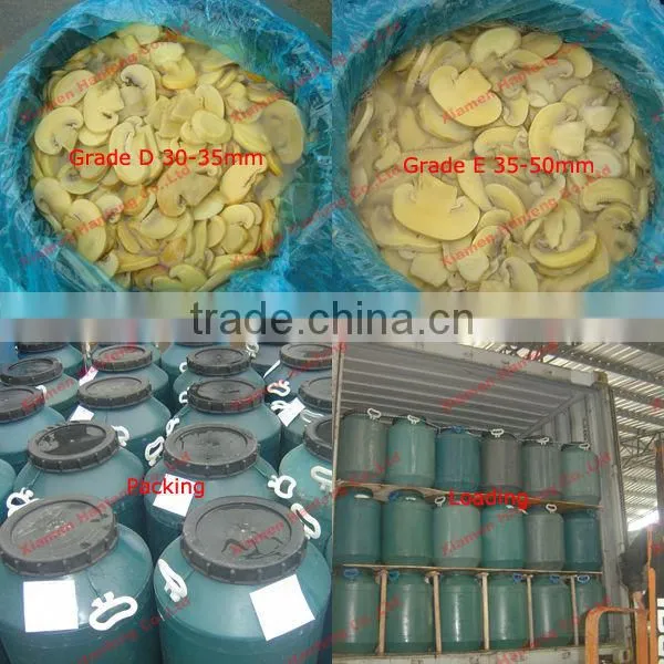 mushroom in vinegar