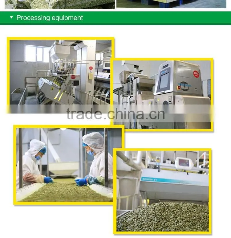 Organic Chinese shine skin pumpkin seeds kernel last price