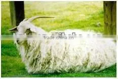 2016 Steam heating cashmere/textile fabrics washing machine