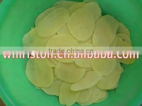 industrial potato chip/french fries slicer low investment