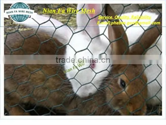 pvc coated hexagonal mesh(Guangzhou Factory)