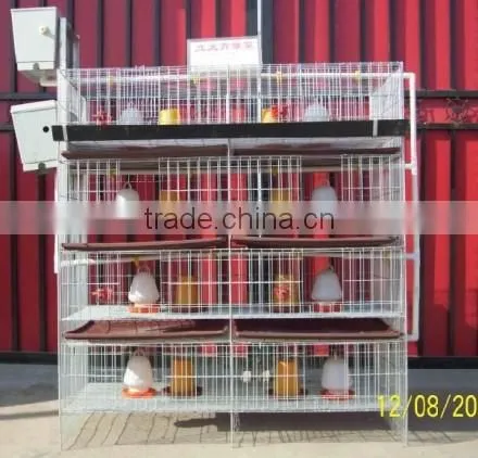 chiken egg poultry farm equipment/chicken cage for sale/automatic chicken layer cage
