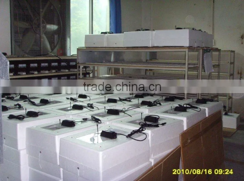 Chicken Mini Egg Incubator High rate of hatched