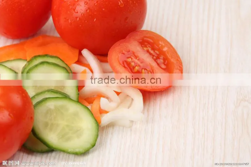 Household Stainless Steel kitchen utensil Vegetable Slicer