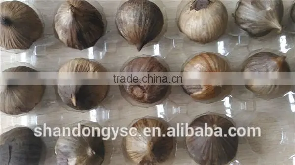 black garlic fermented by natural solo garlic