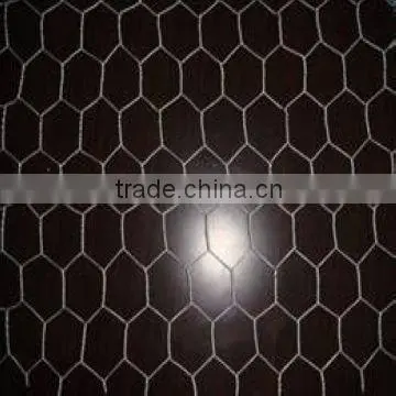 galvanized hexagonal wire mesh/netting