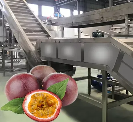 Passion Fruit Pulp Processing Production Line