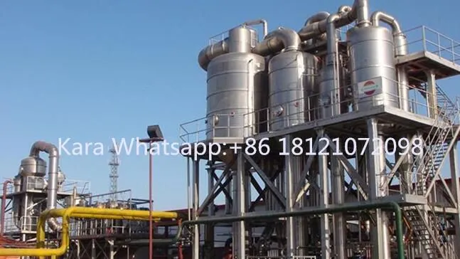 Shanghai Factory Spray Dried Instant Coffee Powder Freeze Dried Instant Granule Drying Machine Processing Plant Production Line