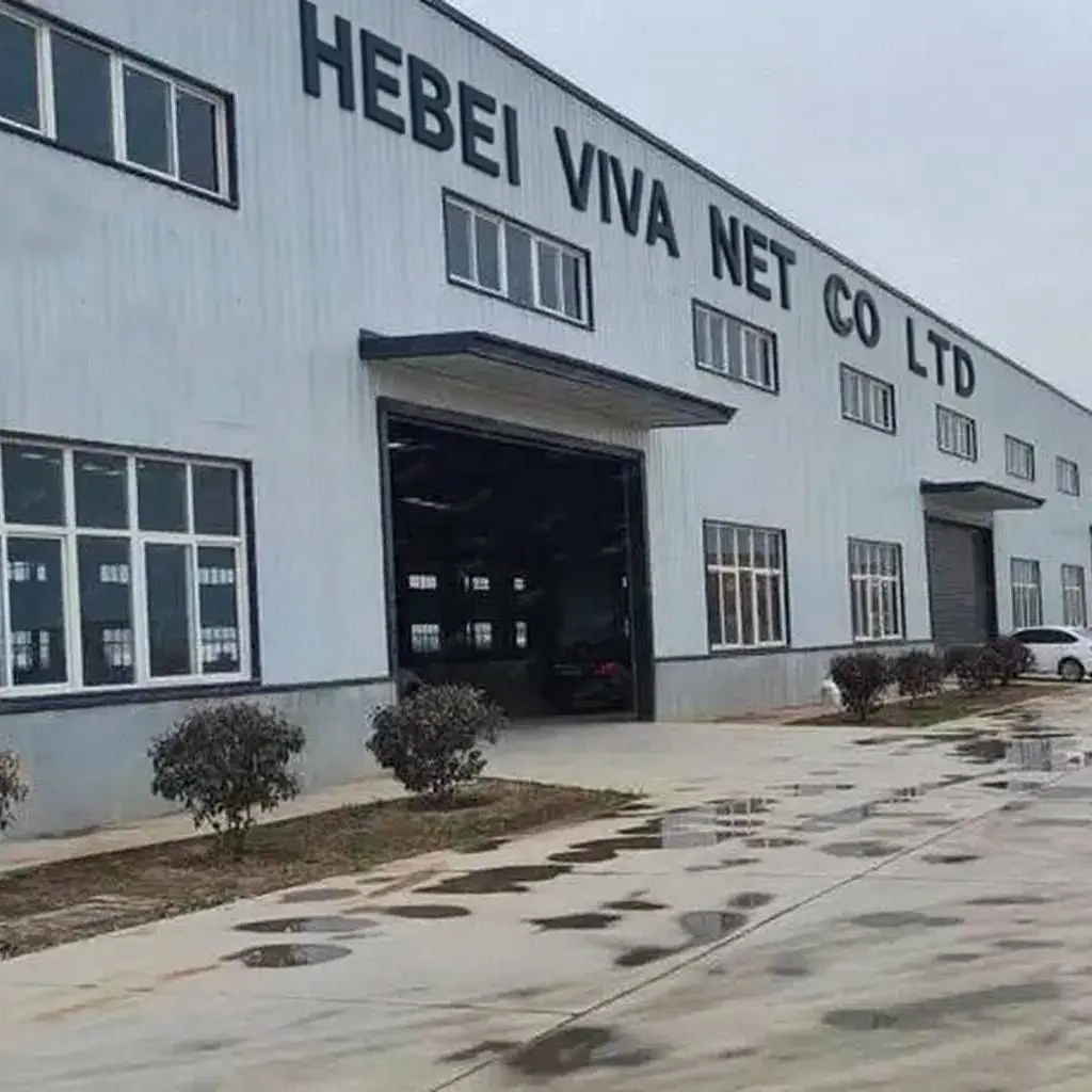 Hebei Viva Net Co.,ltd company overview - view 1