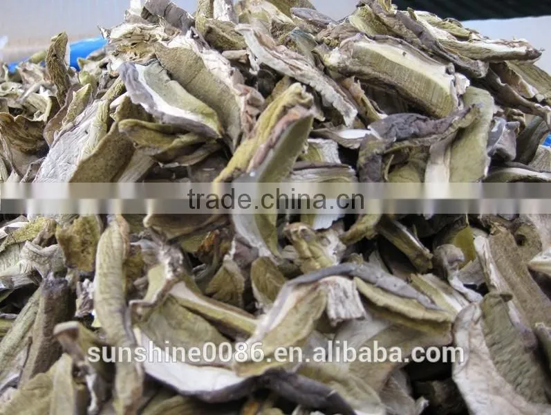 Dried boletus mushroom