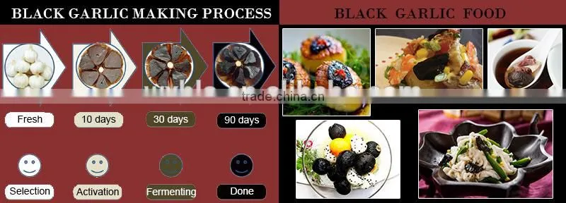 New technology factory supply black garlic processing machine price