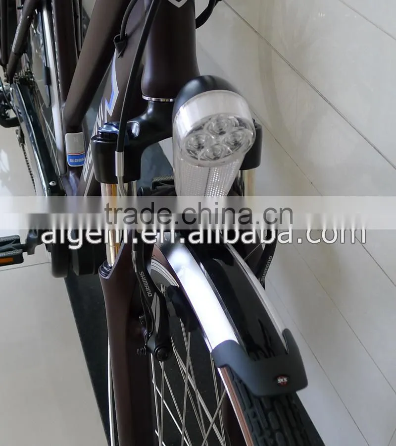 36V10Ah 250W hub motor green electric city bike