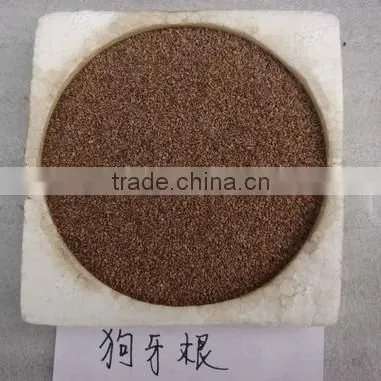 2016 New High Quality Grass Seeds Bermuda Grass Seeds For Sale