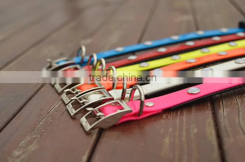 luminous dog collars, 5050 LED Strip LED Collars, 2.5cm width,locking dog collar