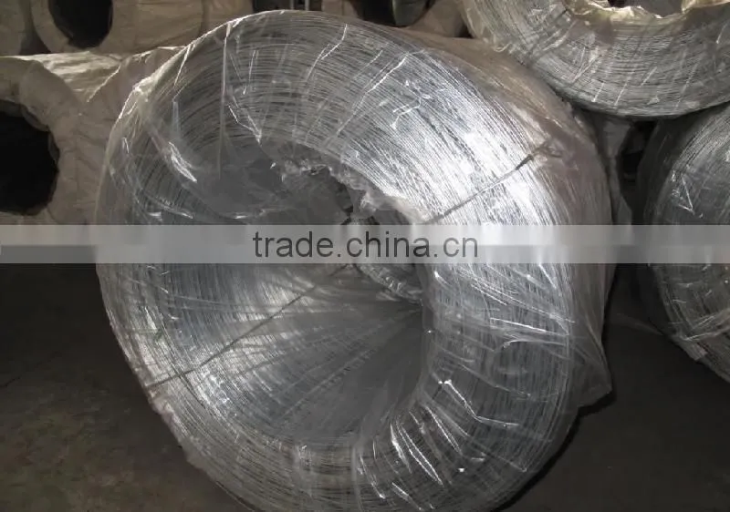 electro galvanized iron wire in coil (real factory)