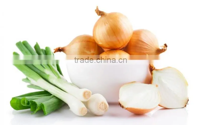 New design and full automatic fresh vegetable and fruit packing machine