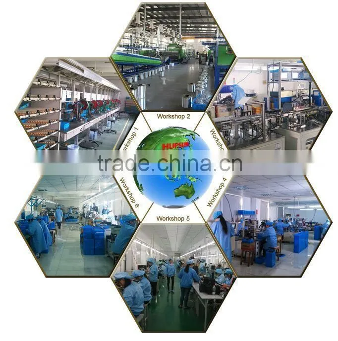 Lucency automotive relay supplier, DPDT automotive relay, automotive 12v relay