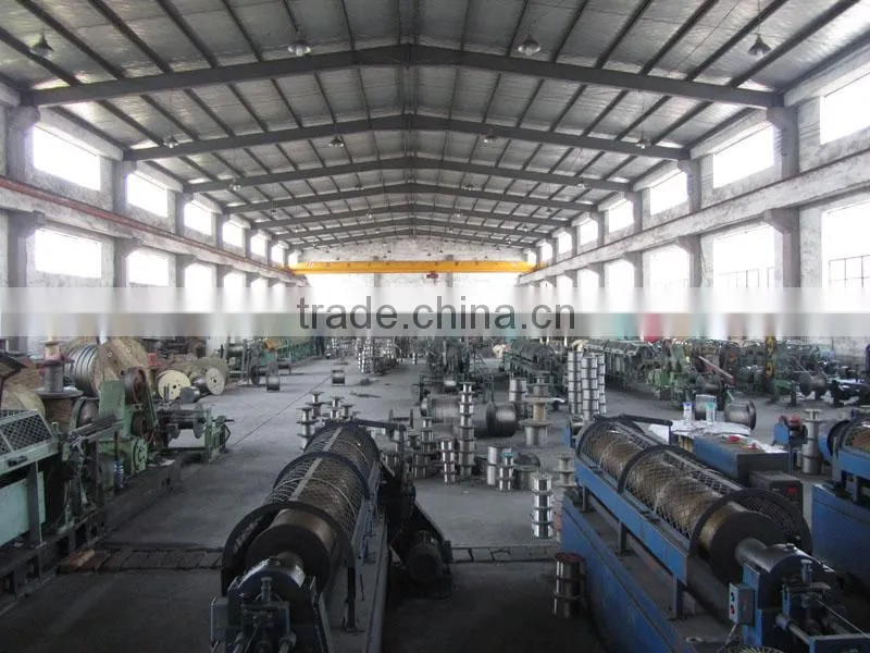Manufacturer Mining Stainless Steel Wire Rope/ Steel Cable