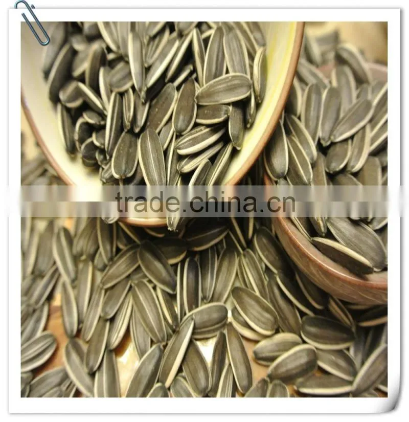 Chinese wholesale Sunflower Seeds with Good Quality 2015 New Crop 5009 363 0409