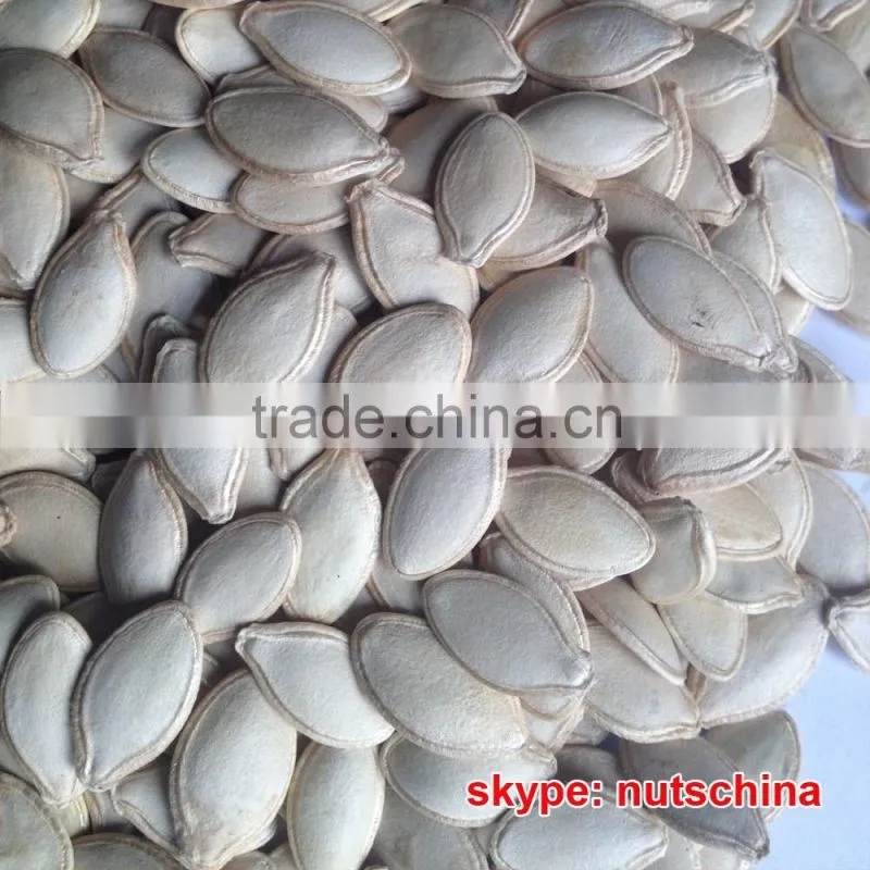 shine skin pumkin seed kernels