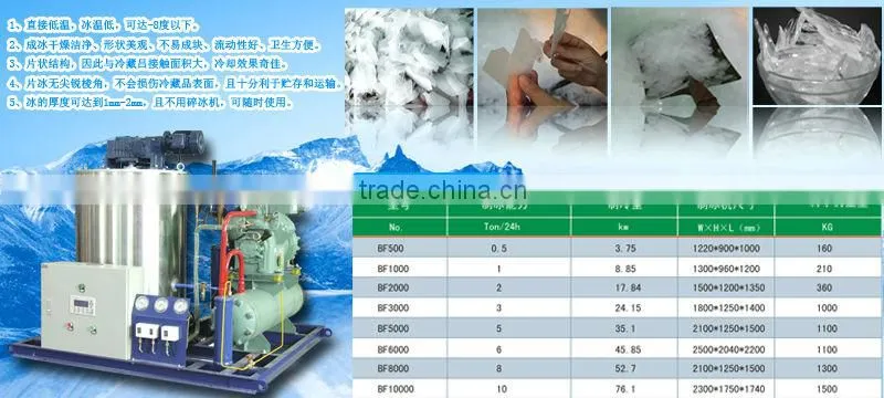 French Polynesia flake ice plant for seafood,fruits cooling