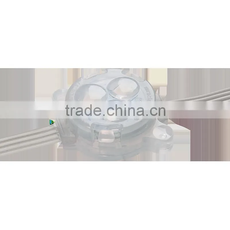 Ferris Wheel Single Color 30mm 12v ip67 led decoration light For Advertising