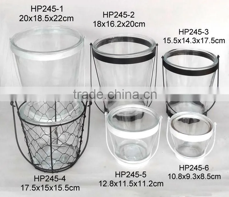 HP246 clear glass flower pot