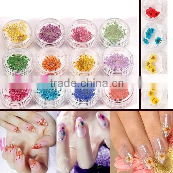 wholesale Nail Art Dry Dried Flowers Decoration With Mix Different Colors