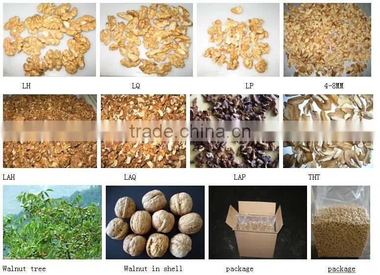 Factory Price Bulk Walnut Kernels Light Amber Quater for Sales