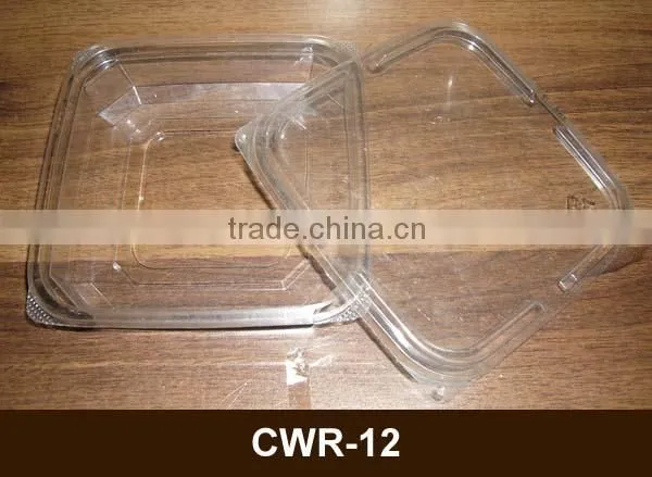 transparent PET food container