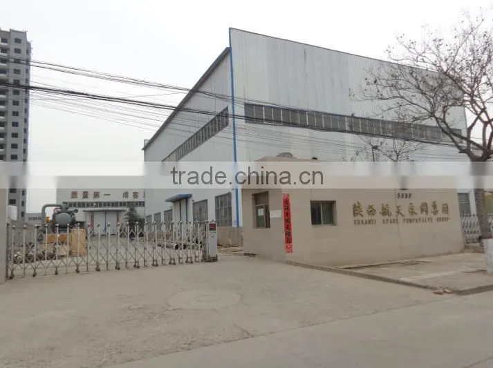 Shaanxi Aerospace Pump & Valve Technology Group Co., Ltd. company overview - view 2